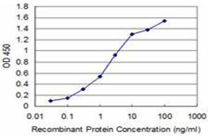 Detection limit for recombinant GST tagged BOLL is approximately 0. (BOLL antibody  (AA 185-283))