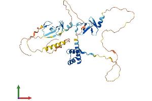 AlphaFold protein structure predicition of Human Recombinant LHX9 Protein, UniprotID Q9NQ69