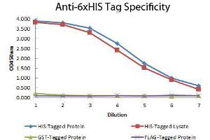 ELISA of Mouse anti-6xHIS Tag Antibody. (His Tag antibody)