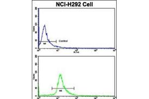 Flow cytometric analysis of NCI-H292 cells using ELP2 Antibody (bottom histogram) compared to a negative control cell (top histogram). (ELP2 antibody  (C-Term))