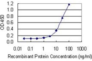 Detection limit for recombinant GST tagged POLRMT is 0. (POLRMT antibody  (AA 1121-1230))