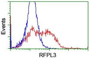 HEK293T cells transfected with either RC206518 overexpress plasmid (Red) or empty vector control plasmid (Blue) were immunostained by anti-RFPL3 antibody (ABIN2455787), and then analyzed by flow cytometry. (RFPL3 antibody)