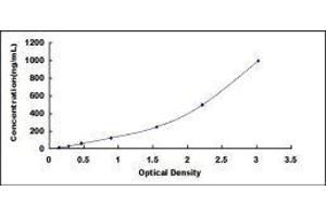 Typical standard curve (Haptoglobin ELISA Kit)