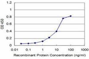 Detection limit for recombinant GST tagged RAB9A is approximately 1ng/ml as a capture antibody. (RAB9A antibody  (AA 17-115))
