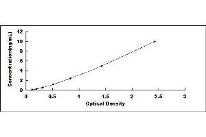 Typical standard curve (RAD50 ELISA Kit)