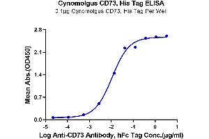 Immobilized Cynomolgus CD73, His Tag at 1 μg/mL (100 μL/Well) on the plate. (CD73 Protein (AA 27-554) (His tag))