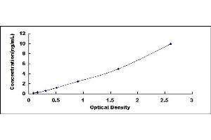 Oxytocin Receptor ELISA Kit