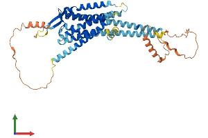 AlphaFold protein structure predicition of Mouse Recombinant Npy5r Protein, UniprotID O70342
