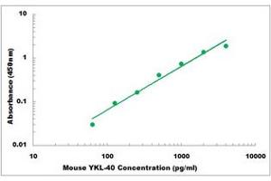 Representative Standard Curve