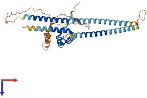 Myb/SANT-Like DNA-Binding Domain Containing 4 with Coiled-Coils (MSANTD4) (AA 1-345) protein (His tag)