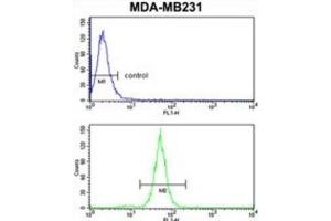 Flow Cytometry (FACS) image for anti-Trans-Golgi Network Protein 2 (TGOLN2) antibody (ABIN3003981) (TGOLN2 antibody)