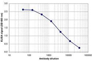 ELISA is a quantitative method used to determine the titer of the antibody using a serial dilution of antibody against human EIF2C1. (AGO1 antibody  (C-Term))
