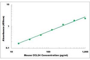 Representative Standard Curve (CCL24 ELISA Kit)