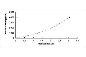 Typical standard curve (HMGB1 ELISA Kit)