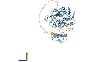 Protein Structure (PS) image for Zinc Finger Protein 37A (ZNF37A) (AA 1-561) protein (His tag) (ABIN7545546)