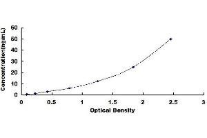 ELISA image for C-Reactive Protein (CRP) ELISA Kit (ABIN6574221)