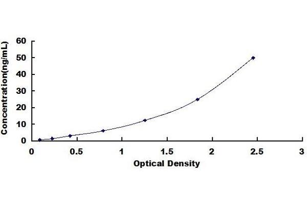 CRP ELISA Kit