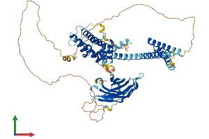 AlphaFold protein structure predicition of Human Recombinant GGA2 Protein, UniprotID Q9UJY4