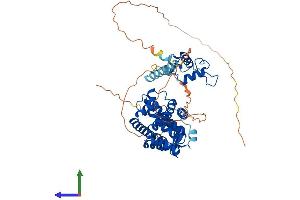 AlphaFold protein structure predicition of Human Recombinant RORA Protein, UniprotID P35398 (RORA Protein (AA 1-523) (His tag))