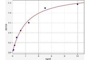 MMP24 ELISA Kit