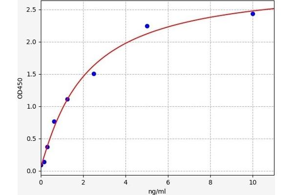 MMP24 ELISA Kit