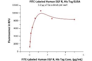 ELISA image for Epidermal Growth Factor Receptor (EGFR) (AA 25-645) (Active) protein (FITC,His tag) (ABIN6933639)