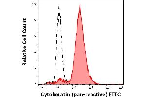 Separation of HeLa cells (red-filled) stained using anti-Cytokeratins (C-11) FITC antibody (concentration in sample 3 μg/mL) from unstained HeLa cells (black-dashed) in flow cytometry analysis (intracellular staining). (pan Keratin antibody  (FITC))