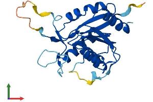 Protein Structure (PS) image for Ovarian Tumor Suppressor Candidate 2 (OVCA2) (AA 1-225) protein (His tag) (ABIN7561081)