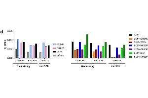 Functional Studies (Func) image for anti-SARS-CoV-2 Spike S1 (RBD) antibody (ABIN6952616)