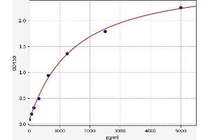 Typical standard curve (MAF ELISA Kit)