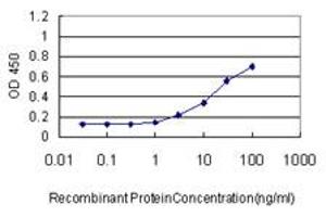 Detection limit for recombinant GST tagged SERPINE1 is approximately 0. (PAI1 antibody  (AA 86-185))
