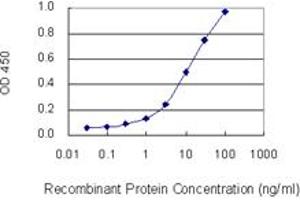 Detection limit for recombinant GST tagged PHYH is 0. (PHYH antibody  (AA 1-338))