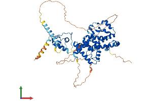 AlphaFold protein structure predicition of Mouse Recombinant Rorc Protein, UniprotID P51450 (RORC Protein (AA 1-516) (His tag))