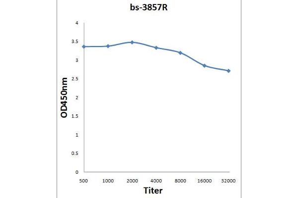 STS antibody  (AA 51-150)