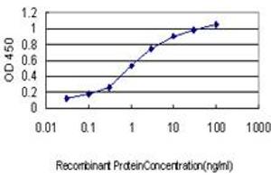 Detection limit for recombinant GST tagged EIF5A2 is approximately 0. (EIF5A2 antibody  (AA 66-153))