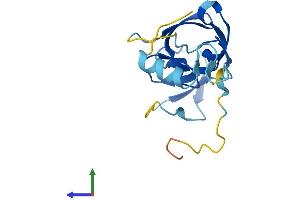 AlphaFold protein structure predicition of Human Recombinant ERVK-7 Protein, UniprotID P63131 (ERVK-7 Protein (AA 1-156) (His tag))