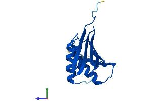 AlphaFold protein structure predicition of Mouse Recombinant Psmg3 Protein, UniprotID Q9CZH3