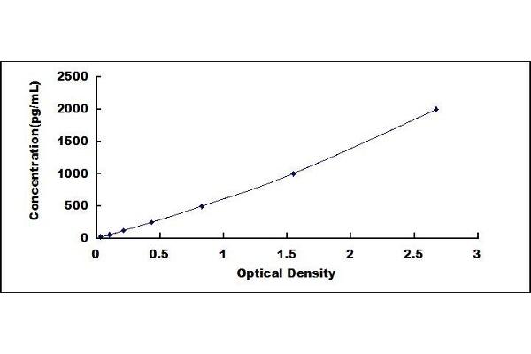 TIMP2 ELISA Kit