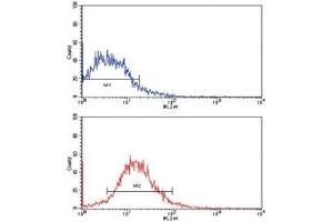 Flow cytometric analysis of HepG2 cells using EPHB2 antibody (red) compared to a negative control (blue). (EPH Receptor B2 antibody)