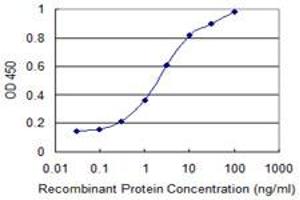 Detection limit for recombinant GST tagged FKBP10 is 0. (FKBP10 antibody  (AA 377-470))