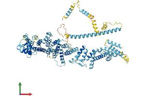 AlphaFold protein structure predicition of Mouse Recombinant Nup93 Protein, UniprotID Q8BJ71