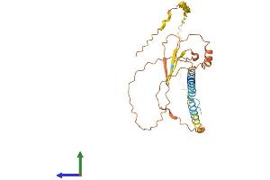 AlphaFold protein structure predicition of Human Recombinant ARIH2OS Protein, UniprotID Q8N7S6 (ARIH2OS Protein (AA 1-290) (His tag))