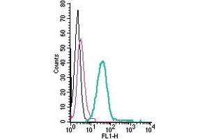 Cell surface detection of MERTK by direct flow cytometry in live intact mouse J774 macrophage cells: + Rabbit IgG Isotype Control-FITC (ABIN7582044).