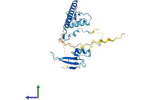 AlphaFold protein structure predicition of Human Recombinant MBD3 Protein, UniprotID O95983 (MBD3 Protein (AA 1-291) (His tag))