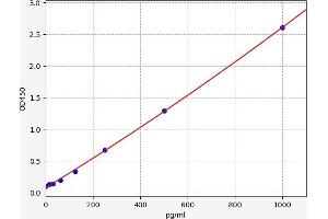 Tumor Necrosis Factor (Ligand) Superfamily, Member 10 (TNFSF10) ELISA Kit