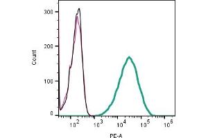 Cell surface detection of CD63 by direct flow cytometry in live intact mouse  microglia cell line: + Rabbit IgG Isotype Control-PE. (CD63 antibody  (Extracellular) (PE))