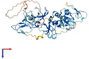 Parkin Protein (AA 1-465) (His tag)