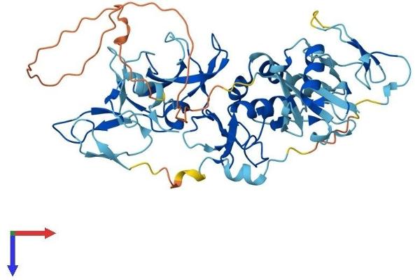 Parkin Protein (AA 1-465) (His tag)