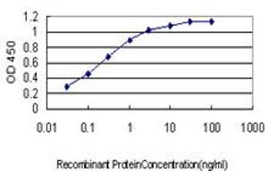 Detection limit for recombinant GST tagged PBX3 is approximately 0. (PBX3 antibody  (AA 342-434))