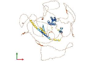 AlphaFold protein structure predicition of Mouse Recombinant Phc2 Protein, UniprotID Q9QWH1